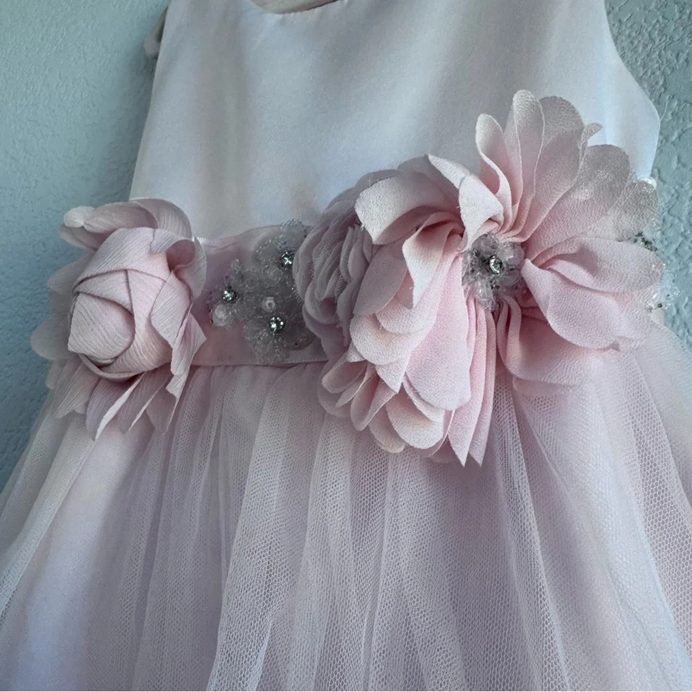 Chantilly Place Sleeveless Blush-Pink Floral Waist Tulle Gown for Girls. Size 5. - Picture 4 of 17